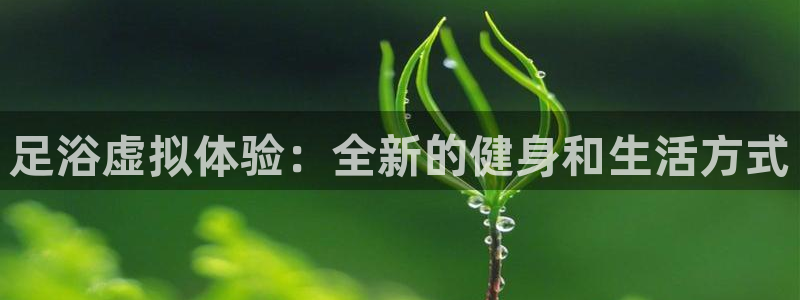 鲸鱼体育app：足浴虚拟体验：全新的健身和生活方式