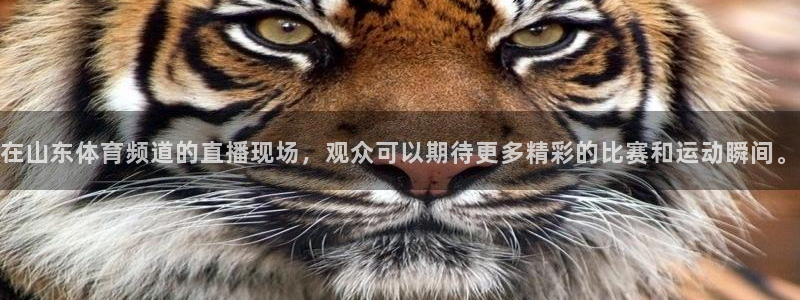 鲸鱼体育tv版下载：在山东体育频道的直播现场，观众可以期待更多精彩的比赛和运动瞬间。