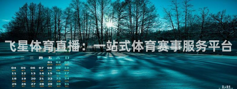 鲸鱼体育免费版：飞星体育直播：一站式体育赛事服务平台