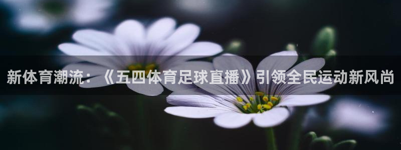 鲸鱼体育在线直播nba：新体育潮流：《五四体育足球直播》引领全民运动新风尚