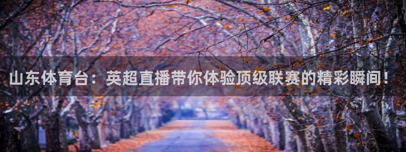 鲸鱼体育tv版下载：山东体育台：英超直播带你体验顶级联赛的精彩瞬间！