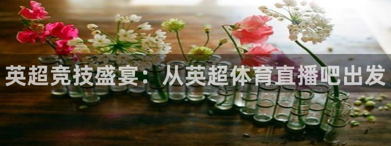 鲸鱼直播体育直播：英超竞技盛宴：从英超体育直播吧出发
