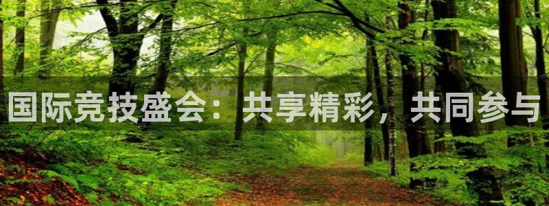 鲸鱼体育app官网版：国际竞技盛会：共享精彩，共同参与