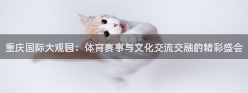 蓝鲸鱼体育直播：重庆国际大观园：体育赛事与文化交流交融的精彩盛会