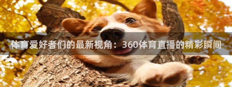 鲸鱼体育在线：体育爱好者们的最新视角：360体育直播的精彩瞬间