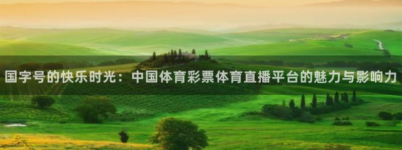 足球鲸鱼直播：国字号的快乐时光：中国体育彩票体育直播平台的魅力与影响力