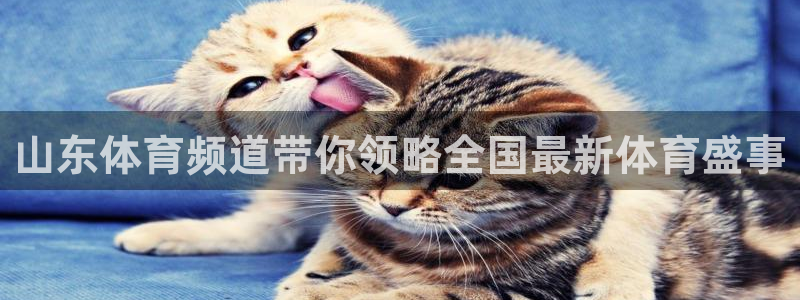 鲸鱼体育直播：山东体育频道带你领略全国最新体育盛事