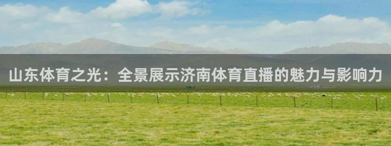 鲸鱼直播：山东体育之光：全景展示济南体育直播的魅力与影响力
